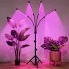 LEAN Lâmpada LED para crescimento e iluminação de plantas, suporte de 4 painéis, com controlo remoto