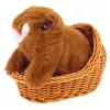 LEAN TOYS esquilo interativo de peluche em cesto, anda e faz sons, castanho
