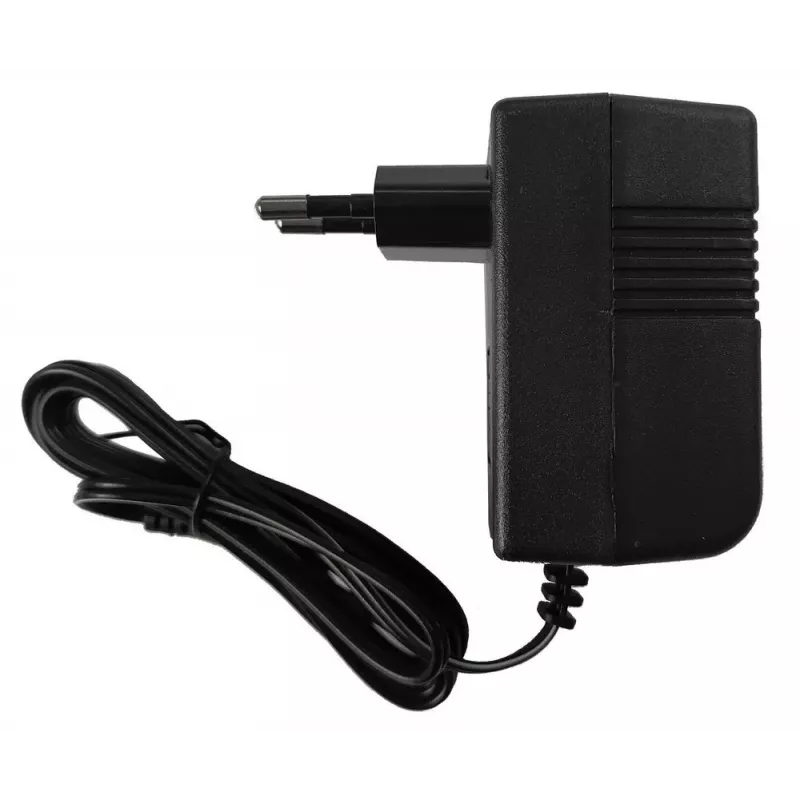 LEAN CARS Carregador de bateria para carro elétrico infantil 6V