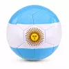 LEAN TOYS Bola de futebol de treino para relvado, cores da Argentina, 22 cm, tamanho 5