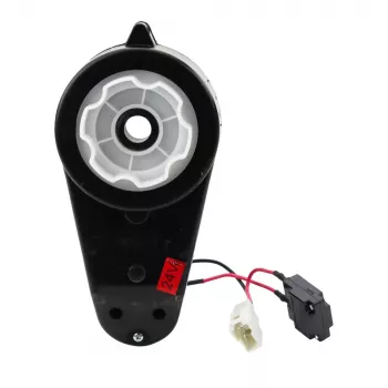 LEAN TOYS Conjunto Motor com Caixa de Velocidades 24V para Veículo Elétrico para Crianças XB-2118, 13500 rpm Motor RS550