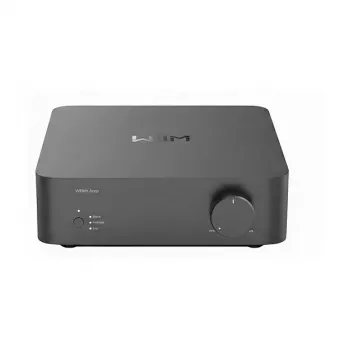 Amplificador Hi-Fi WiiM Vibelink Amp cinzento