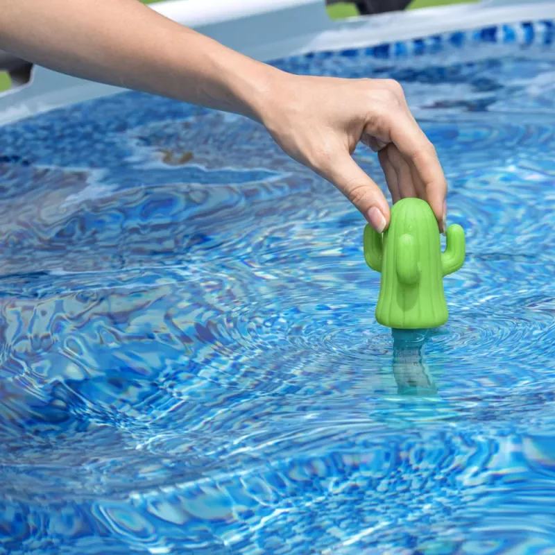 Termómetro de piscina Bestway 58763 para spas, verde cato