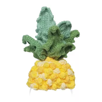 Fato tricotado para Loona Premium Pineapple