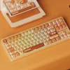 AKKO TAC87 Bun Wonder Teclado mecânico tenkeyless - multimodo RGB hot-swappable