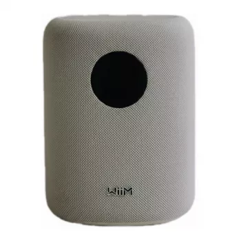 WiiM LPWISNDW Coluna inteligente Sound, Branco