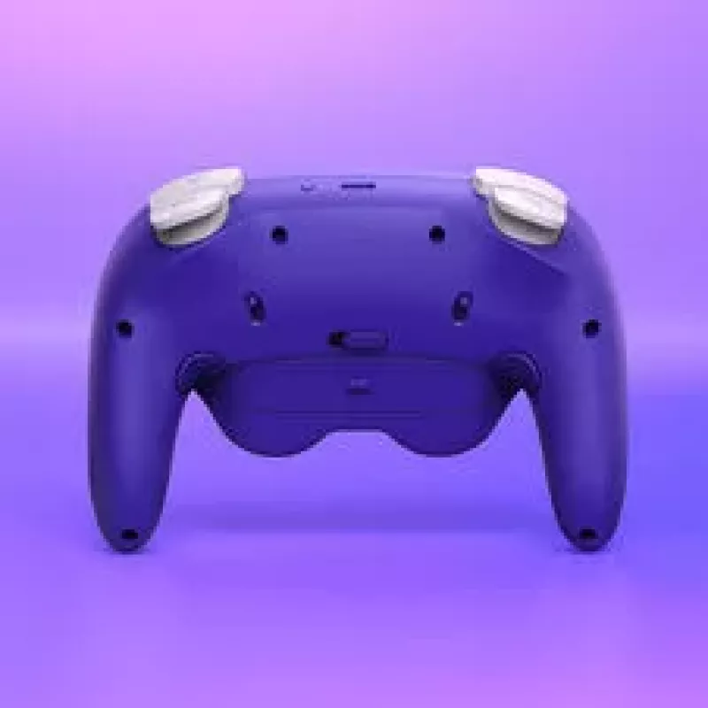 Comando NYXI Warrior Switch 1 e 2 - roxo