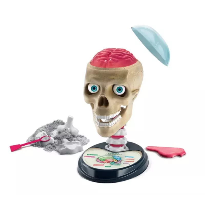 Clementoni Naukowa Zabawa Kit Crazy Anatomy - Língua Polaca - 50697