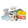 Clementoni Naukowa Zabawa Kit Crazy Anatomy - Língua Polaca - 50697
