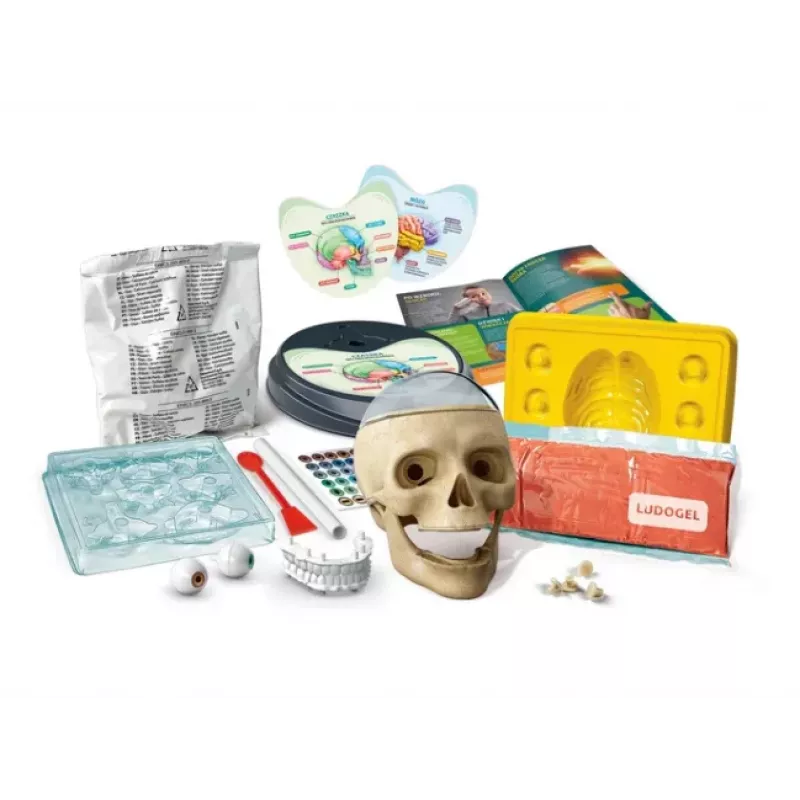 Clementoni Naukowa Zabawa Kit Crazy Anatomy - Língua Polaca - 50697