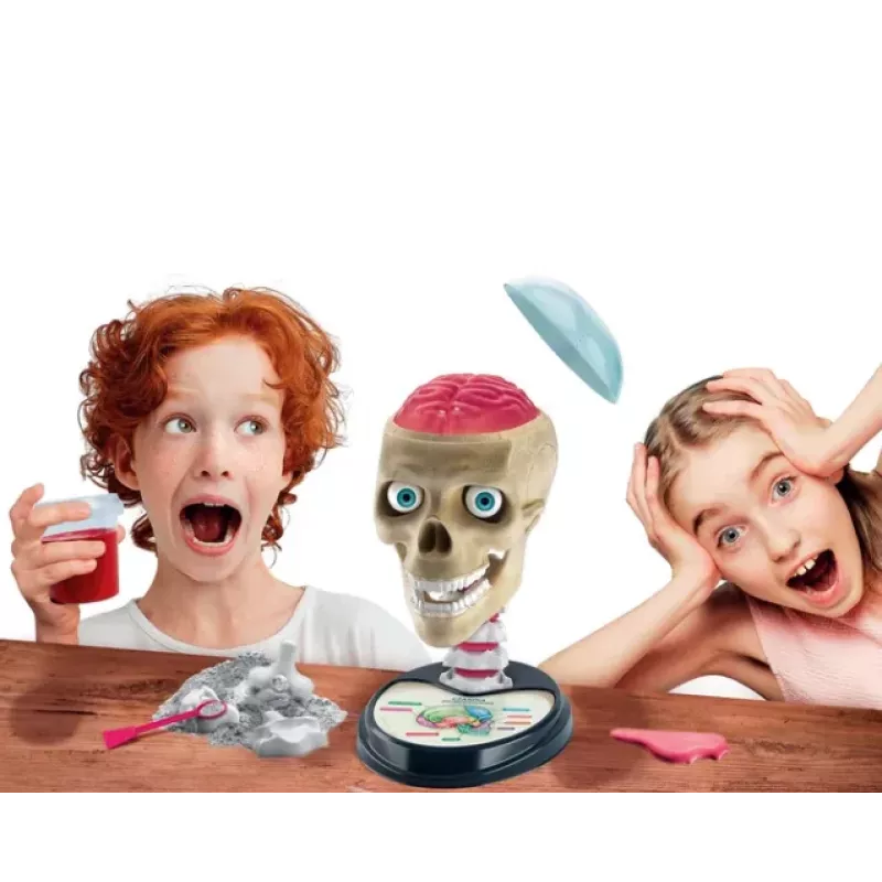 Clementoni Naukowa Zabawa Kit Crazy Anatomy - Língua Polaca - 50697