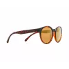 Red Bull Spect Ever Polarized Óculos de Sol - Havanna/Castanho/Bronze