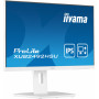 Monitor Iiyama ProLite XUB2492HSU-W5 23,8