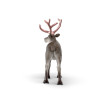 Schleich 75004 Rena de Natal Rose Gold figura LED