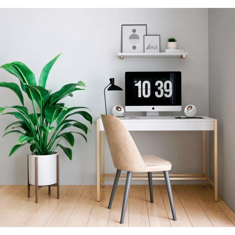 Creative Labs Pebble V3 branco Com fios e sem fios 10 W