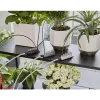 Gardena kit de rega para férias com depósito de água, 13366-20