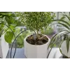 Gardena kit de rega para férias com depósito de água, 13366-20