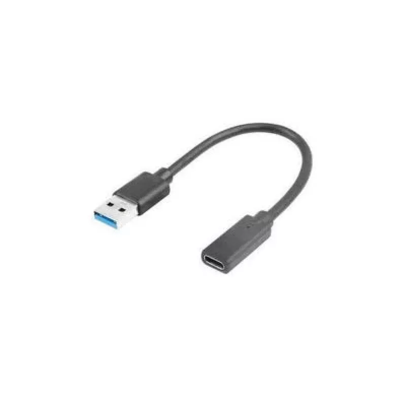Cabo USB Lanberg AD-UC-UA-03 USB 3.2 Gen 1 0,15 m