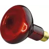 Lâmpada de infravermelhos Beurer IL 11 100 W