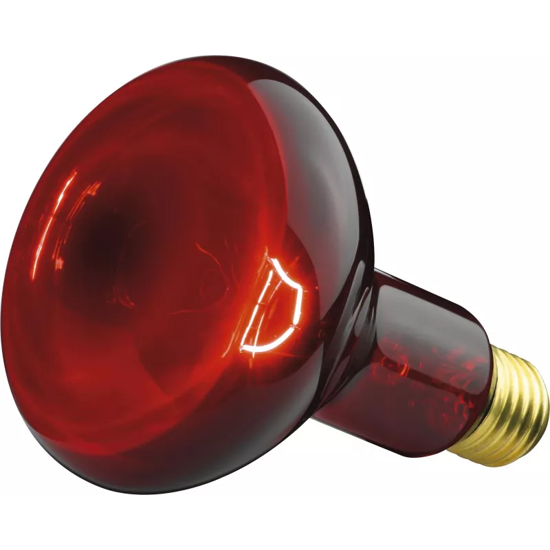 Lâmpada de infravermelhos Beurer IL 11 100 W