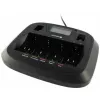 everActive NC-900U carregador de pilhas universal