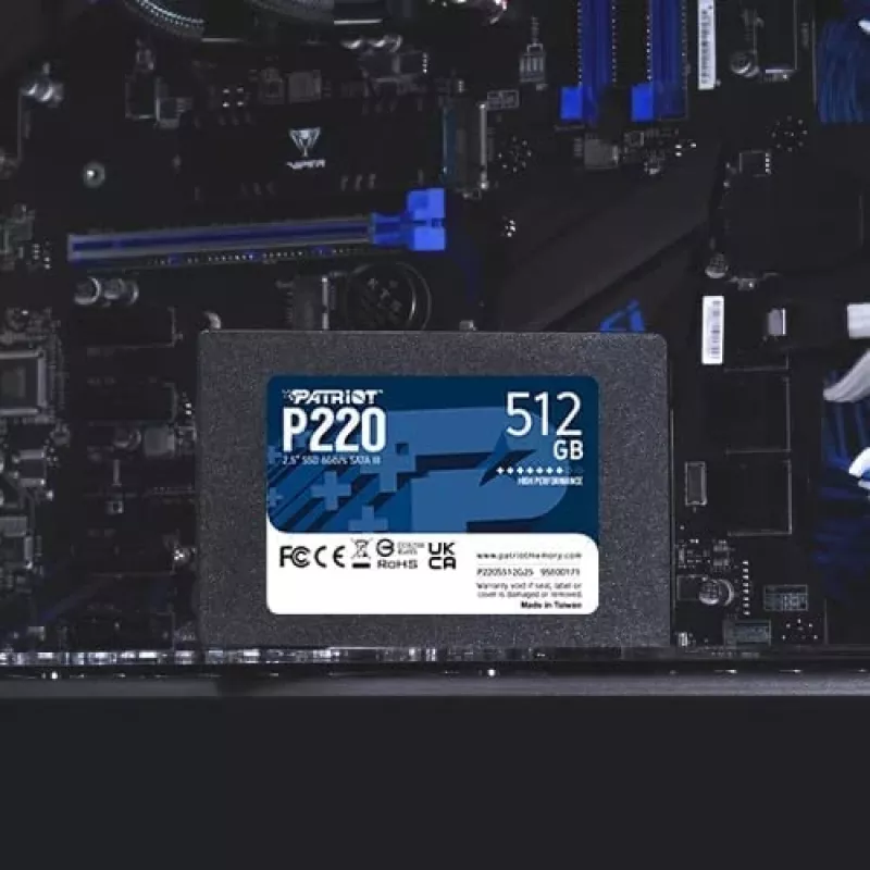 Patriot Memory P220 SSD de 512 GB, 2,5″, SATA III (P220S512G25)