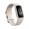 Fitbit GA05185-EU Produto Prateado