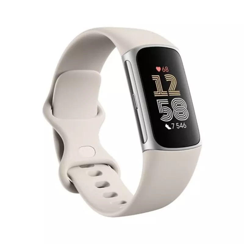 Fitbit GA05185-EU Produto Prateado