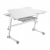 Secretária infantil ergonómica de altura ajustável Ergo Office, cinzento, máx. 100 kg, ER-417 2cz