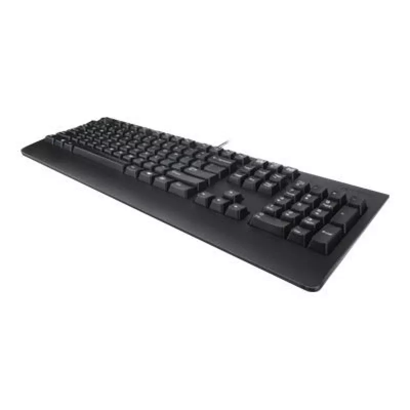 Lenovo 4X30M86918 teclado Office USB QWERTY US inglês preto