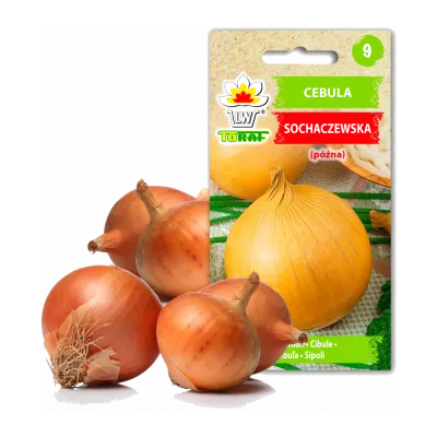 Sementes de hortícolas