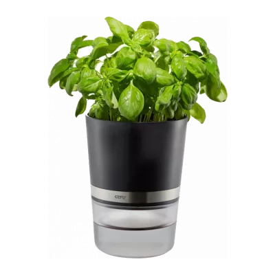 Vasos para ervas aromáticas