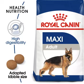 Ração seca para cães Royal Canin SHN Maxi Adult 4 kg – alimento completo com aves para raças grandes (25–45 kg), 26% proteína