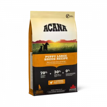 ACANA Dog Puppy Large Breed - Comida seca para cães - 17kg