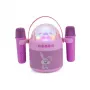 Conjunto de karaoke AKAI JoyBox Kids com Bluetooth, USB, MicroSD, AUX, rádio FM, luzes RGB, distorção de voz, microfone com cabo, bateria recarregável de 1200mAh, 5W RMS
