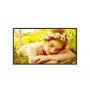 LG 32UL5Q-M 32" 4K UHD ecrã Digital Signage
