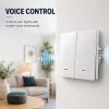 Interruptor de luz inteligente QOLTEC WiFi 2 canais temporizador Tuya branco