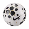 Bola de futebol Nike Control 25 tamanho 5 Branco/Preto HV4395 100