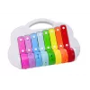 LEAN TOYS bacia arco-íris, instrumento musical infantil, educativo, interativo, colorido