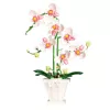 LEAN TOYS orquídea blocos de construção orquídea em vaso rosa e branco 718 peças