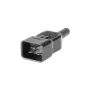Microconnect C20PLUG conector macho de cabo C20 preto