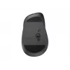 Logitech M850 L for Business rato sem fios - grafite