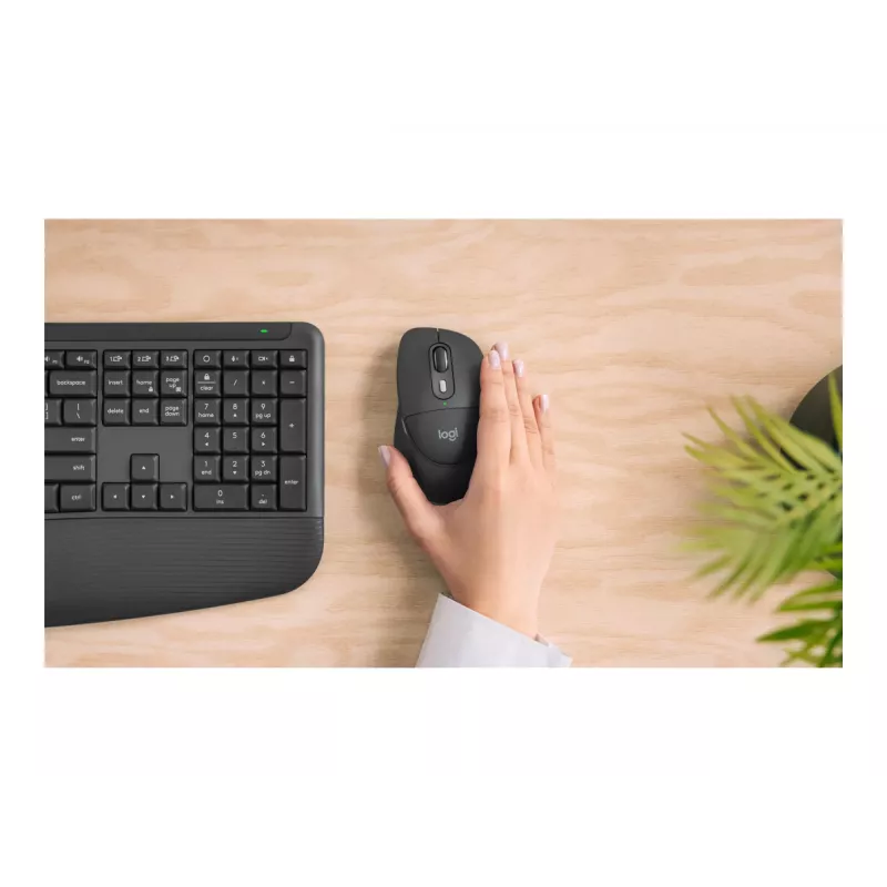 Logitech M850 L for Business rato sem fios - grafite