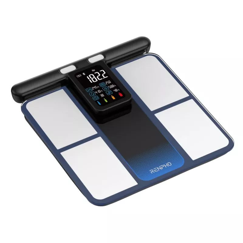 RENPHO MorphoScan MSC01 Balança, Preto/Prateado, USB-C, Bluetooth