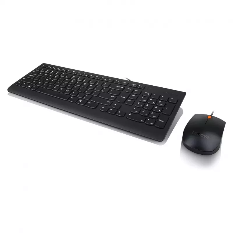 Lenovo 300 Teclado USB - US English QWERTY - Preto