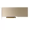 Placa gráfica NVIDIA A10 24GB PCIe 4.0