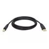 Tripp Lite U022-015 cabo USB 2.0 Hi-Speed A/B para dispositivo, blindado, macho/macho, 15 pés (4,57 m), preto