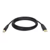 Tripp Lite U022-015 cabo USB 2.0 Hi-Speed A/B para dispositivo, blindado, macho/macho, 15 pés (4,57 m), preto