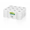 WEPA rolos de alimentação central para sistema doseador RPMB268, 68 m, 195 folhas, 20x35 cm, tissue reciclado (12 rolos)