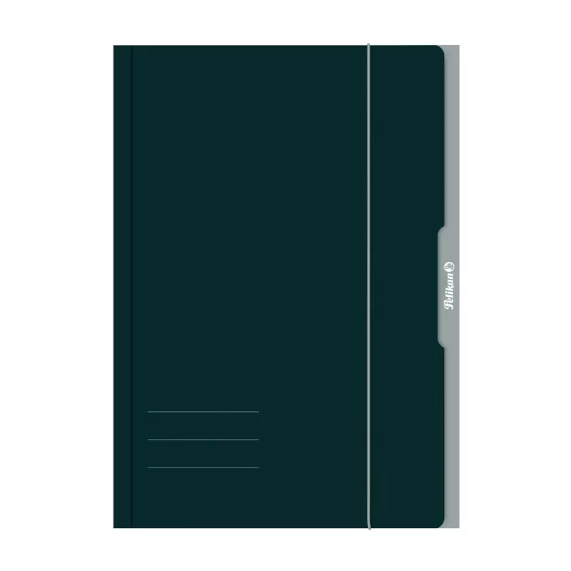 Pasta de arquivo Pelikan 276856 A3 cartão verde